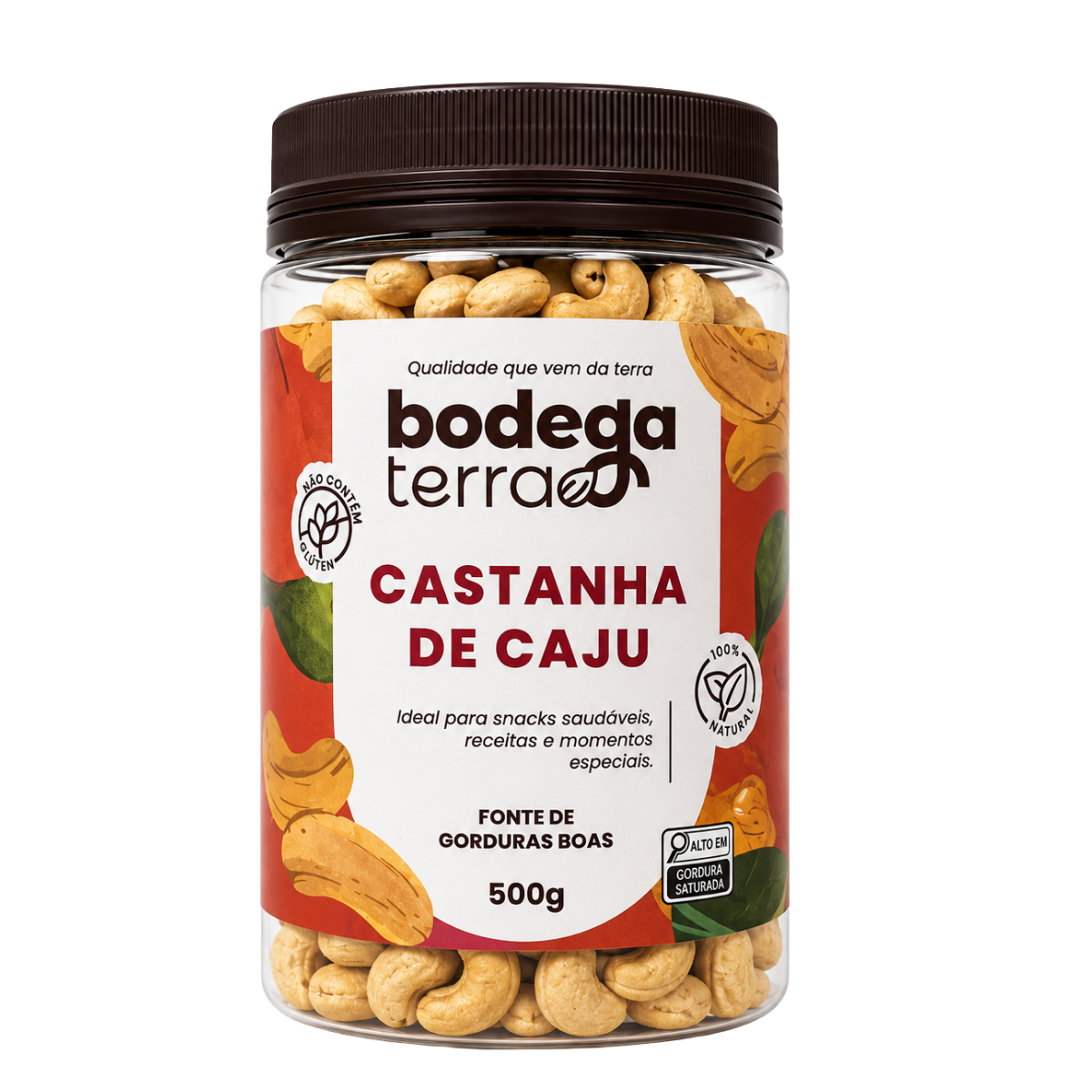 Castanha de Caju Torrada e Salgada (Tipo W1)