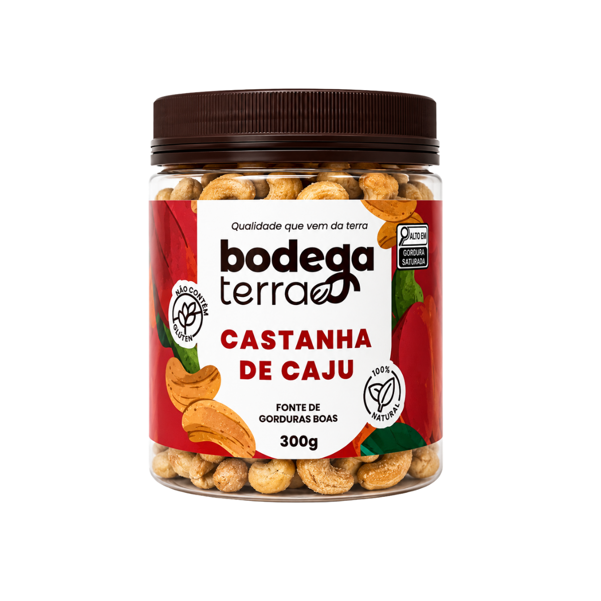 Castanha de Caju Torrada e Salgada (Tipo W1)