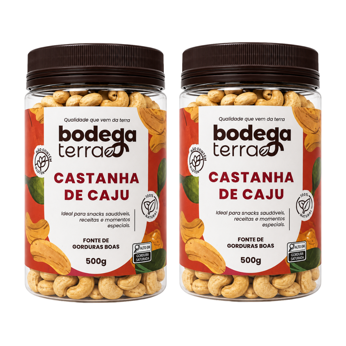 Castanha de Caju Torrada e Salgada (Tipo W1)