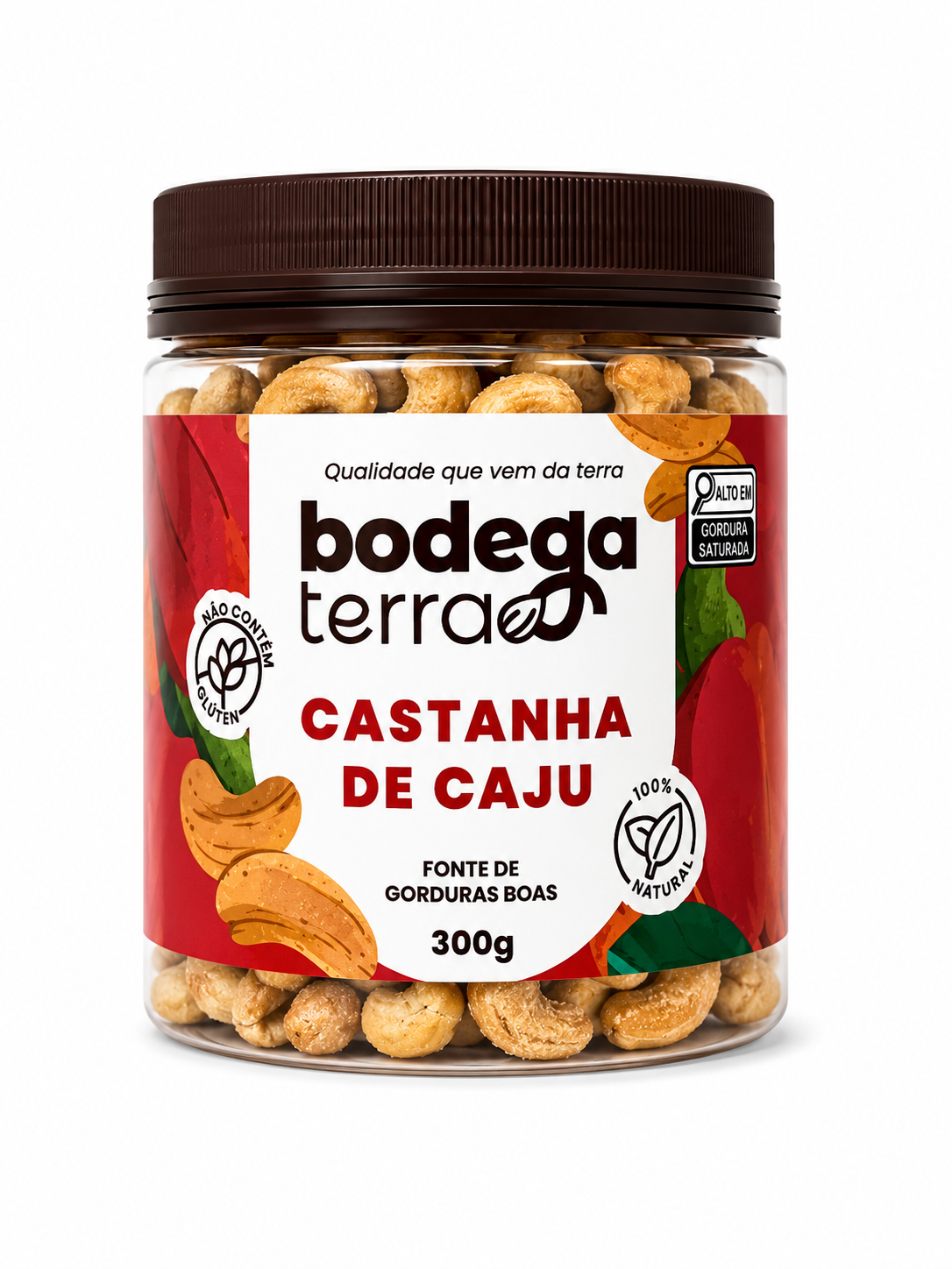 Castanha de Caju Torrada e Salgada (Tipo W1)