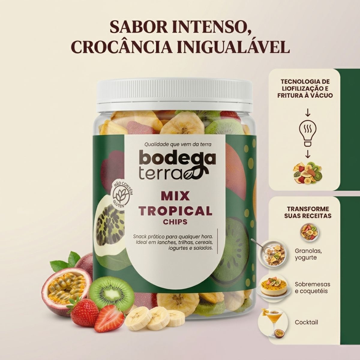 Mix De Frutas Tropical Chips Desidratadas